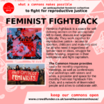 feminist fightback - an anticapitalist feminist collective to fight for reproductive justice